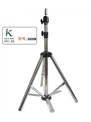 309G