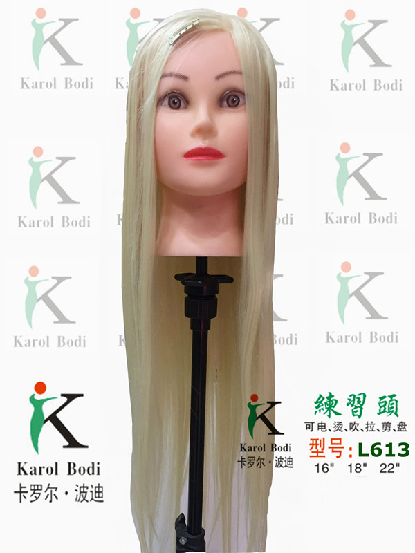 L613头模_副本.jpg
